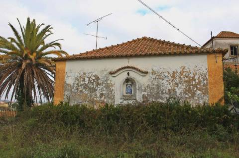 Quinta, terreno com área de 29.300m² - Santarém