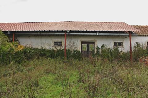 Quinta, terreno com área de 29.300m² - Santarém