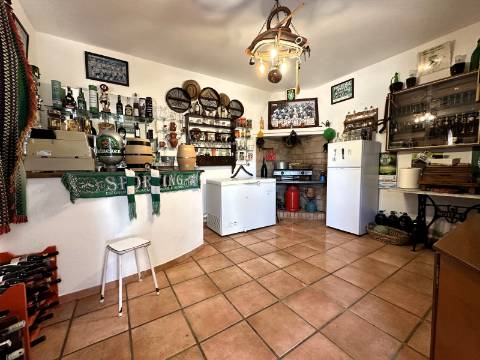 Moradia T4 - Alcanhões (Santarém)