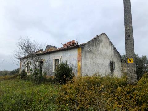 Moradia T2, 10.000m² - S. Vicente Paúl