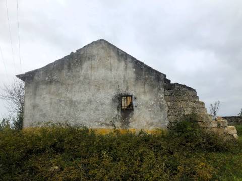 Moradia T2, 10.000m² - S. Vicente Paúl