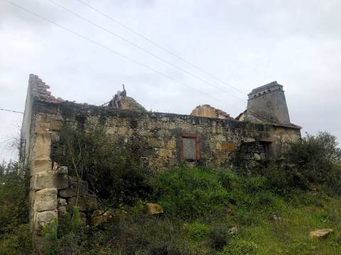 Moradia T2, 10.000m² - S. Vicente Paúl