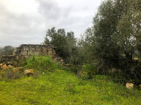 Moradia T2, 10.000m² - S. Vicente Paúl