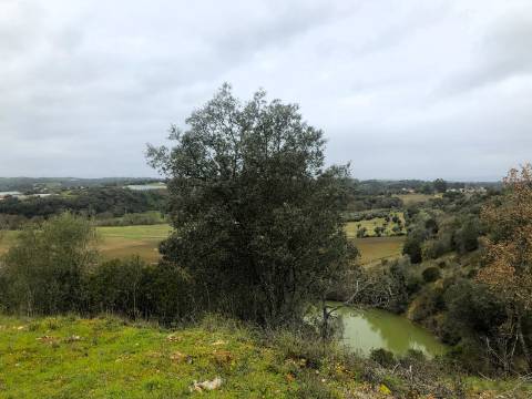 Moradia T2, 10.000m² - S. Vicente Paúl