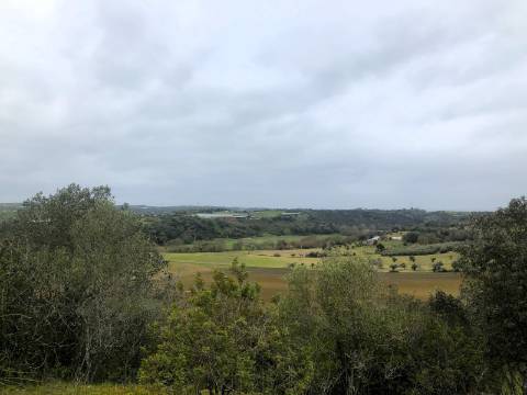 Moradia T2, 10.000m² - S. Vicente Paúl