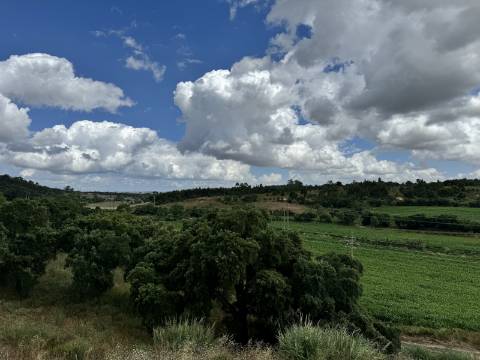 Andar moradia T2 - Santarém