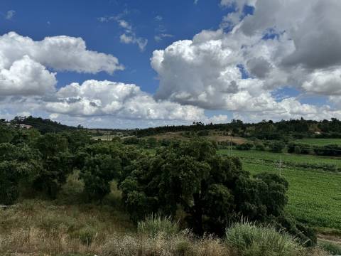 Andar moradia T2 - Santarém