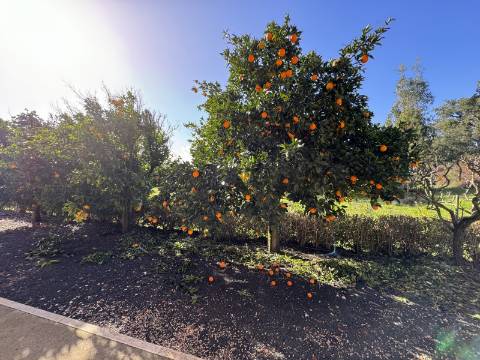 Quinta de Agro-turismo, Almeirim