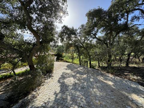 Quinta de Agro-turismo, Almeirim