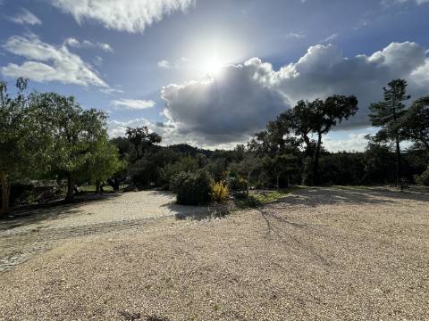 Quinta de Agro-turismo, Almeirim