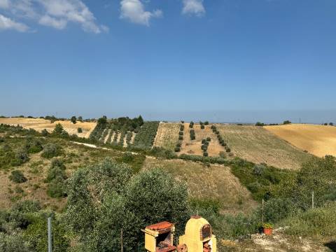 Moradia T3 + 3 com cave - Santarém