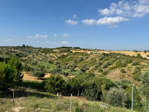 Moradia T3 + 3 com cave - Santarém