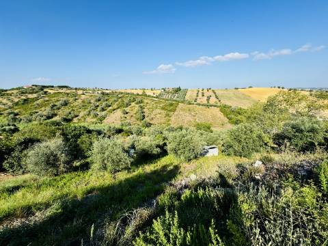 Moradia T3 + 3 com cave - Santarém