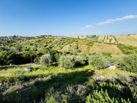 Moradia T3 + 3 com cave - Santarém