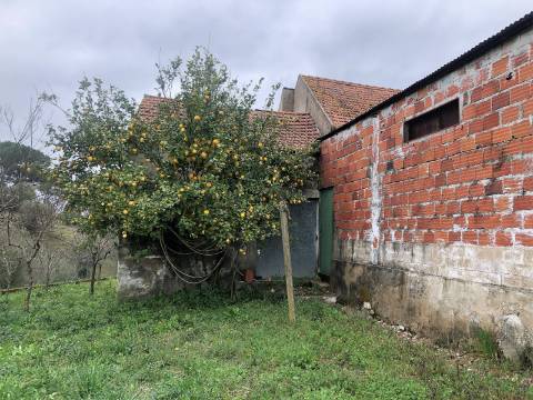 Moradia em ruína - S. Vicente do Paúl