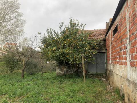 Moradia em ruína - S. Vicente do Paúl