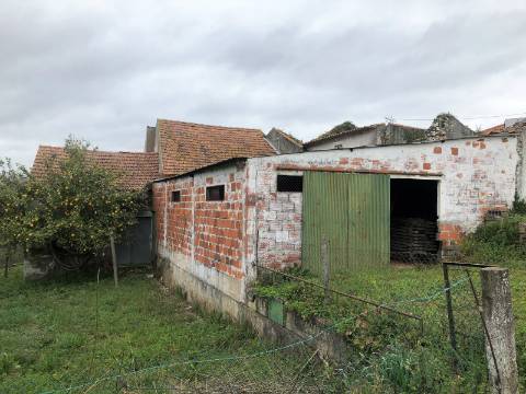 Moradia em ruína - S. Vicente do Paúl