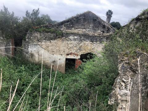 Moradia em ruína - S. Vicente do Paúl