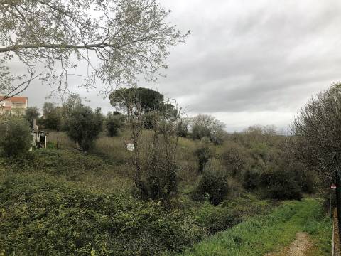 Moradia em ruína - S. Vicente do Paúl