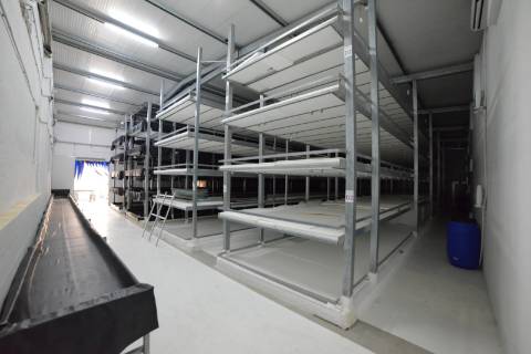 Armazém - Zona Industrial Santarém