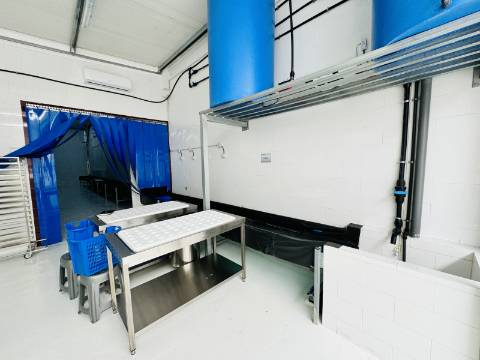 Armazém - Zona Industrial Santarém