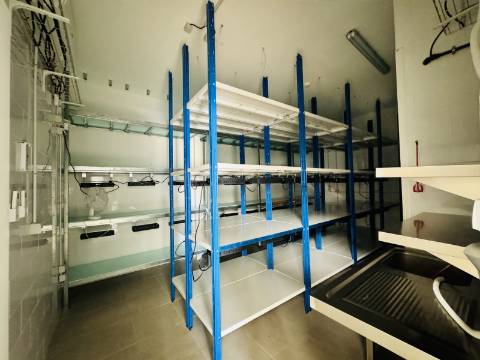 Armazém - Zona Industrial Santarém