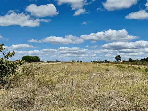 Moradia T2 - Almeirim