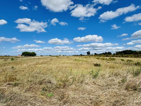 Moradia T2 - Almeirim