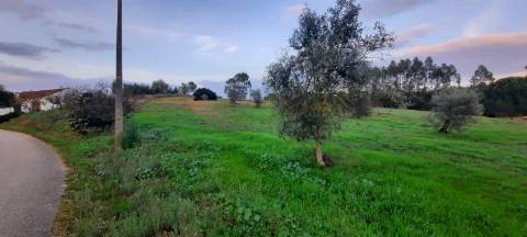 Terreno rústico 8.890m² - Outeiro da Cortiça