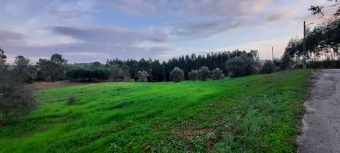 Terreno rústico 8.890m² - Outeiro da Cortiça