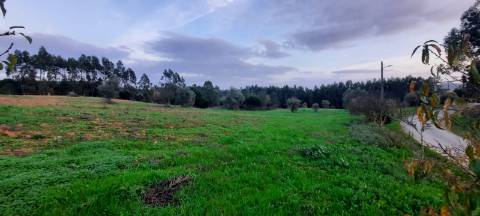 Terreno rústico 8.890m² - Outeiro da Cortiça
