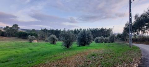 Terreno rústico 8.890m² - Outeiro da Cortiça