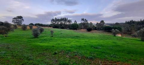 Terreno rústico 8.890m² - Outeiro da Cortiça
