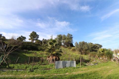 Moradia com 44.020m² - Santarém