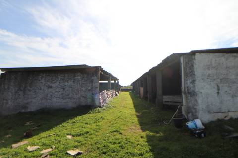 Moradia com 44.020m² - Santarém