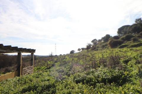 Moradia com 44.020m² - Santarém