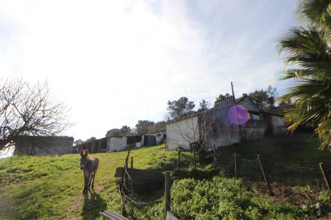 Moradia com 44.020m² - Santarém