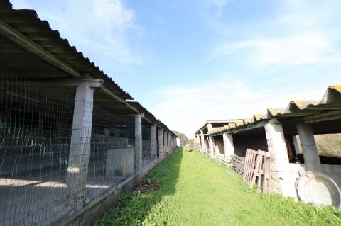 Moradia com 44.020m² - Santarém