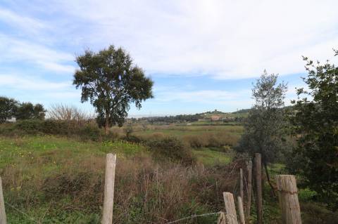 Moradia com 44.020m² - Santarém