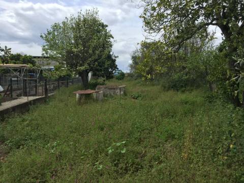 Moradia T2 - Pombalinho/ Santarém