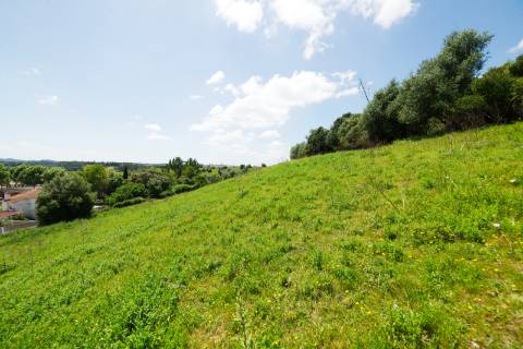 Lote de terreno Urbano 2.636m² - Santarém