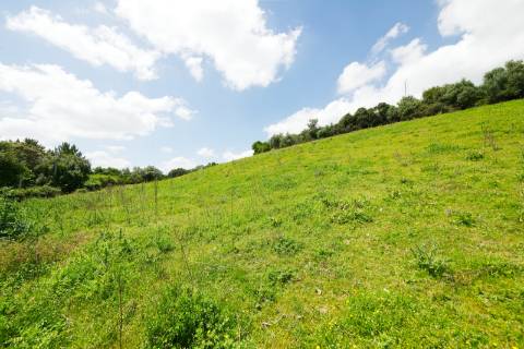 Lote de terreno Urbano 2.636m² - Santarém