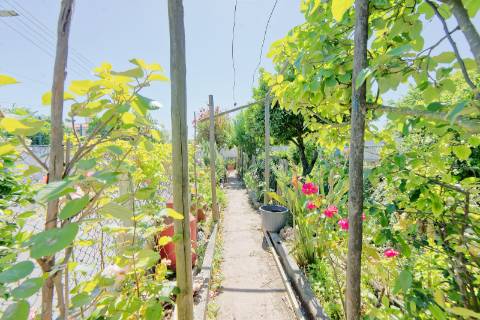 Moradia T3 - Santarém