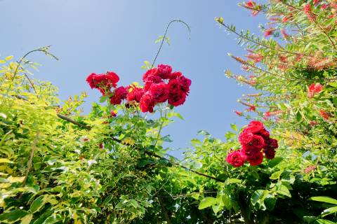 Moradia T3 - Santarém