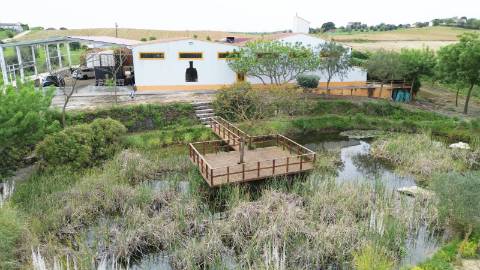 Armazém com área de 369m² - Santarém