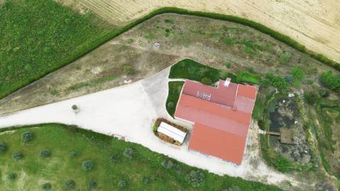 Armazém com área de 369m² - Santarém