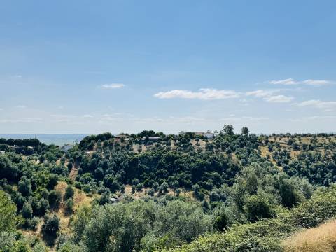 Apartamento T3 - Santarém