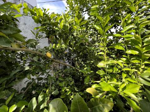 Moradia T3 - Santarém