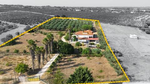 Moradia T5 - Cartaxo