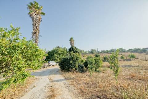 Moradia T5 - Cartaxo